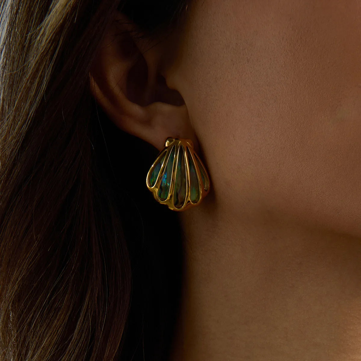 Collares hermoso de mar
