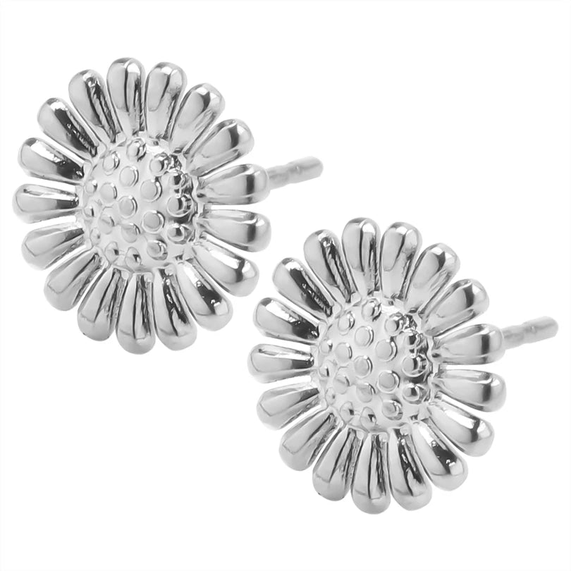 Flor de Jamaica